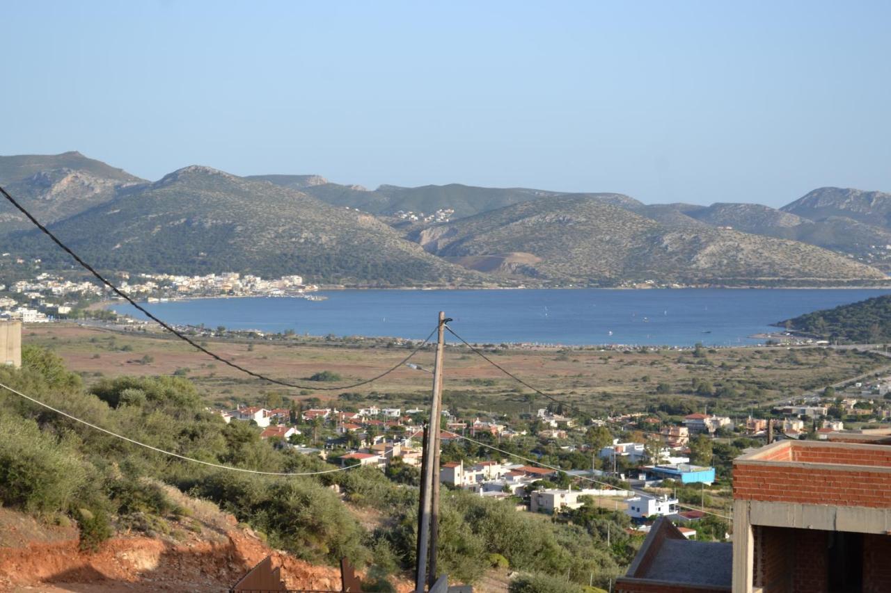 "Stergiou Luxury Apartments" Με Κοινη Πισινα Saronida المظهر الخارجي الصورة