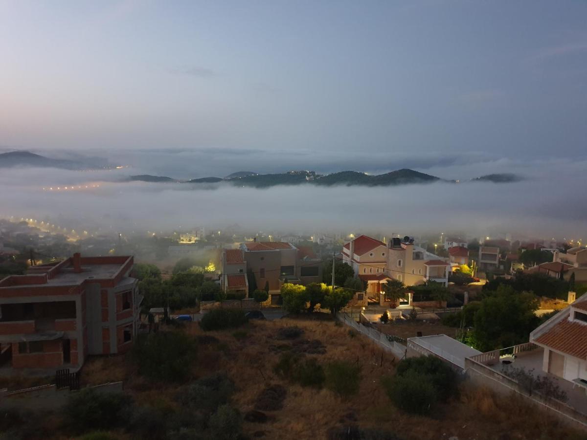 "Stergiou Luxury Apartments" Με Κοινη Πισινα Saronida المظهر الخارجي الصورة
